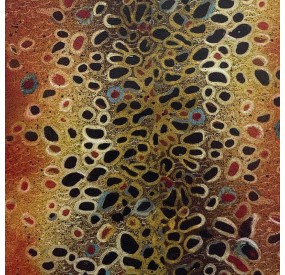 Cuirs JsPatch Brown Trout
