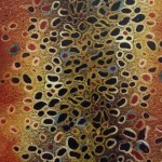 Cuirs JsPatch Brown Trout