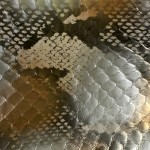 Cuir cobra teint cuivre argent
