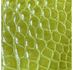 Cuir de croco vert flashy satiné
