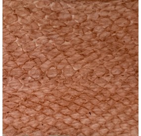 Cuir exotique