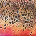 Cuir BROWN TROUT