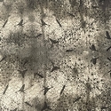 Cuir ECLOSION
